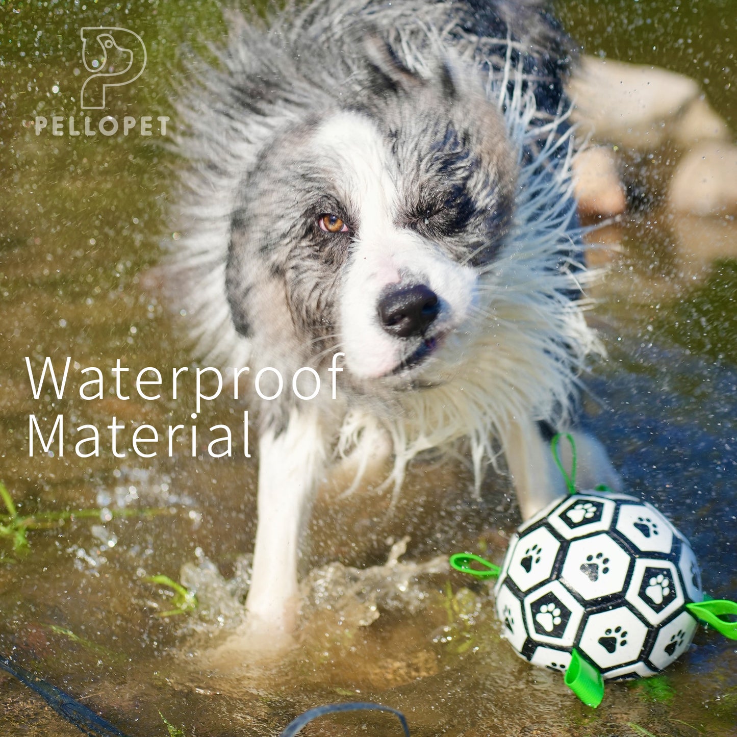 Gift for Pets,Dog soccer toy football strap Football&Inflator 2pcs set, suitable for tug of war, puppy birthday gift, dog drag toy, dog water toy. Made of advanced PU material, it can kick and bounce.