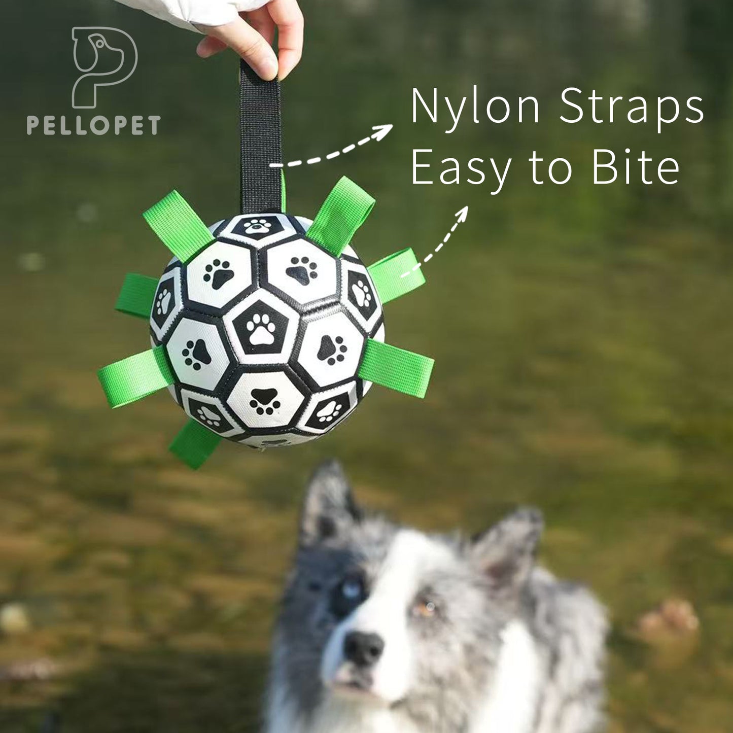Gift for Pets,Dog soccer toy football strap Football&Inflator 2pcs set, suitable for tug of war, puppy birthday gift, dog drag toy, dog water toy. Made of advanced PU material, it can kick and bounce.