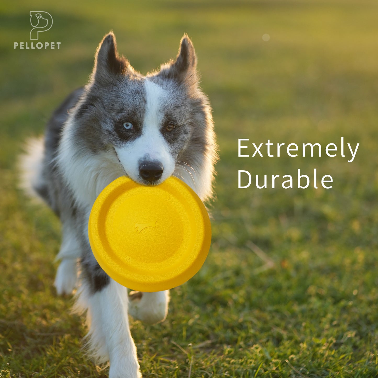 Dog Discs Toy, Durable Soft EVA pet frisbee, Flying Discs for Throwing Catching, Durable for Aggressive Chewers, Water Floating Dog Toys, Swimming Training, Medium Large Breeds, Yellow