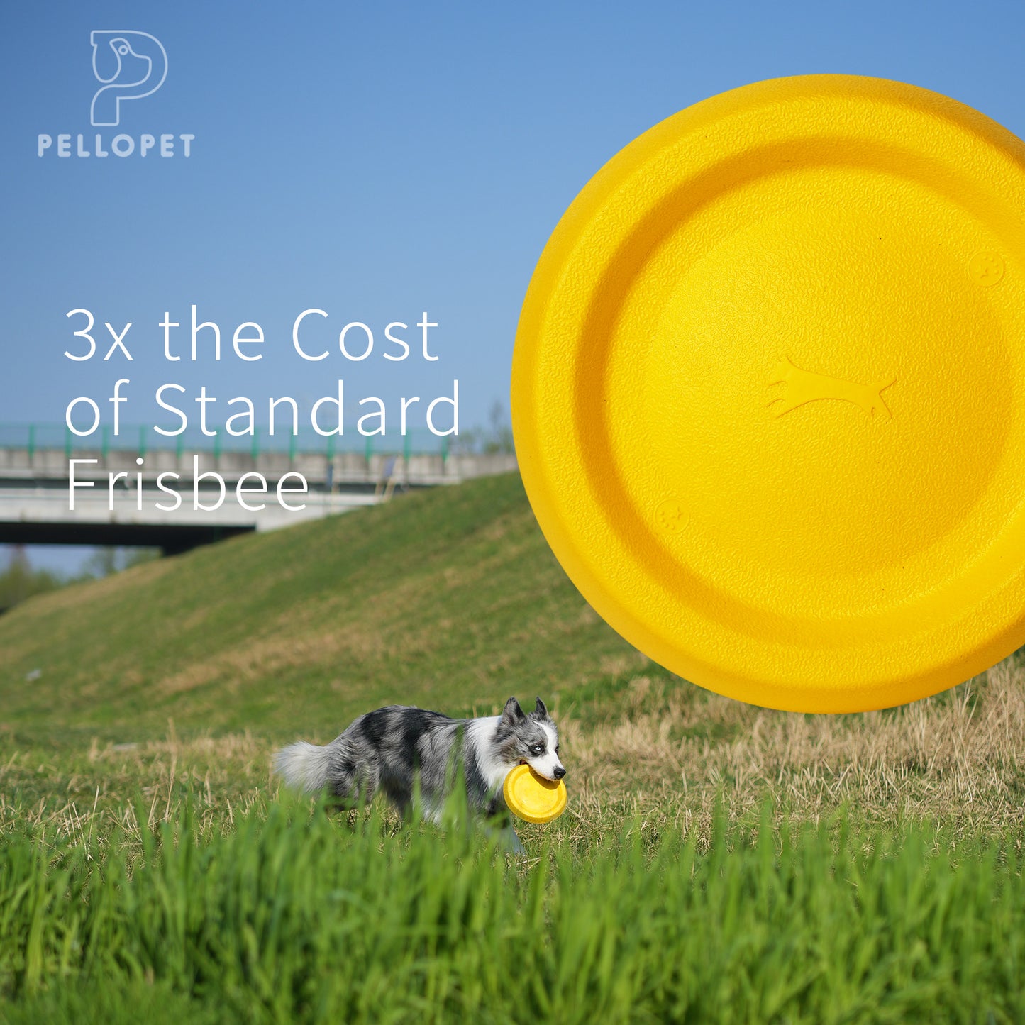 Dog Discs Toy, Durable Soft EVA pet frisbee, Flying Discs for Throwing Catching, Durable for Aggressive Chewers, Water Floating Dog Toys, Swimming Training, Medium Large Breeds, Yellow
