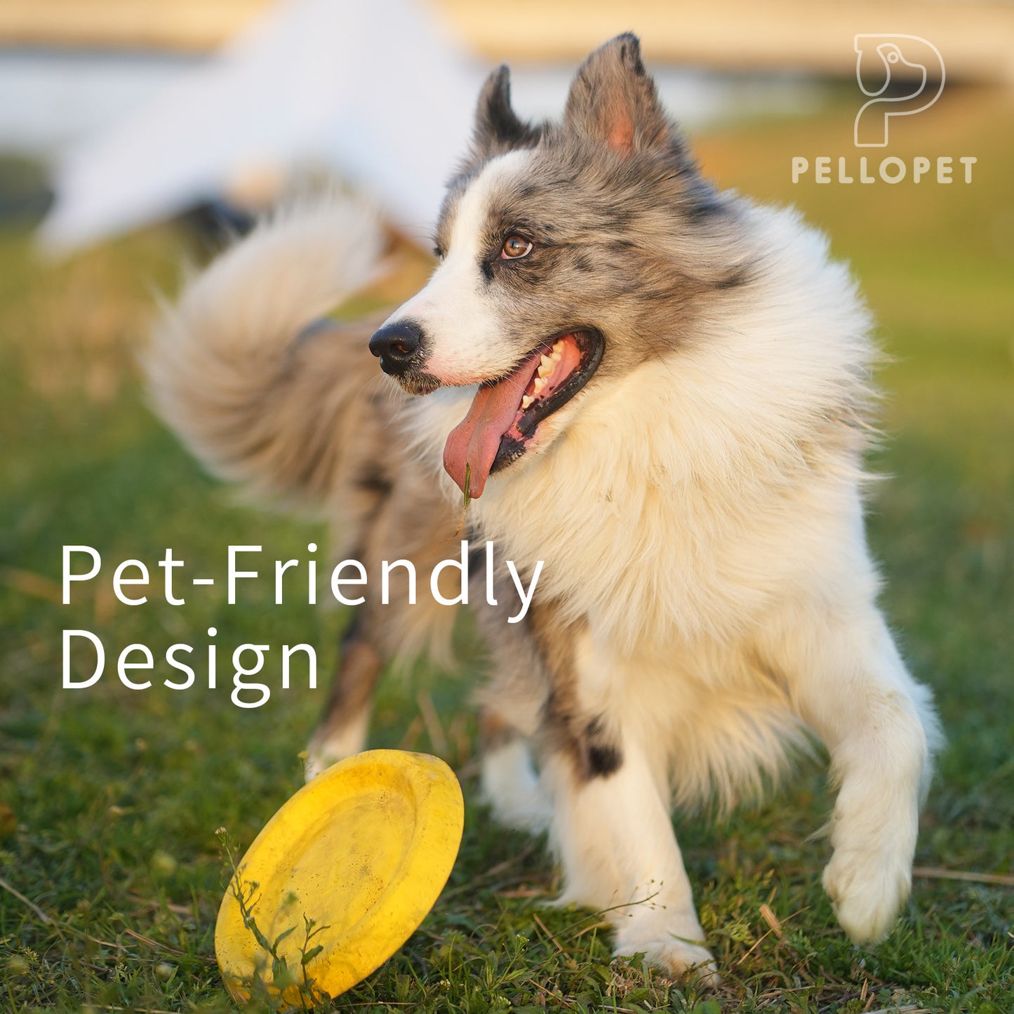 Dog Discs Toy, Durable Soft EVA pet frisbee, Flying Discs for Throwing Catching, Durable for Aggressive Chewers, Water Floating Dog Toys, Swimming Training, Medium Large Breeds, Yellow